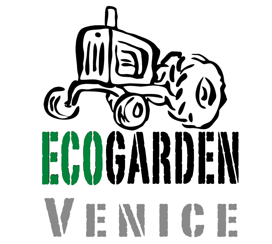 EcoGarden Venice, lo spazio culturale dell'Orto Arcobaleno